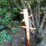 Fontanna w ogrodzie japońskim